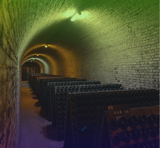 ESPUMOSOS:  PREPARADOS PARA LA NUEVA ÉPOCA DE LOS VINOS ESPUMOSOS MODERNOS